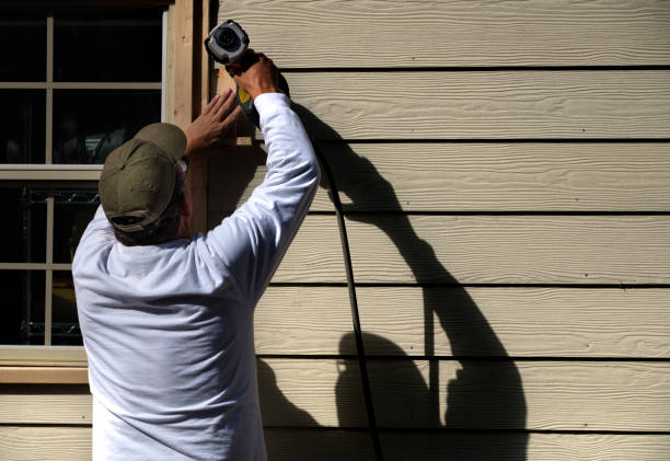Best Stone Veneer Siding  in Avoca, IA