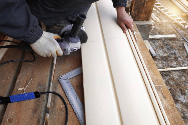 Best Siding Painting and Refinishing  in Avoca, IA