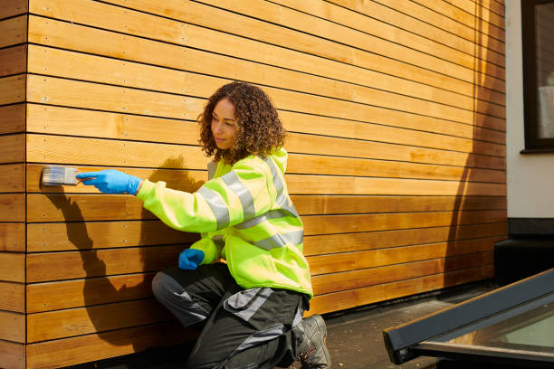 Best Steel Siding Installation  in Avoca, IA